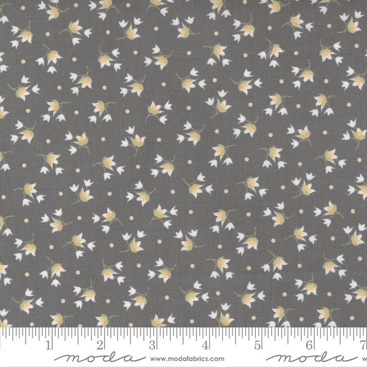 Buttercup Slate Slate 29154 17 Moda #1 (31207)