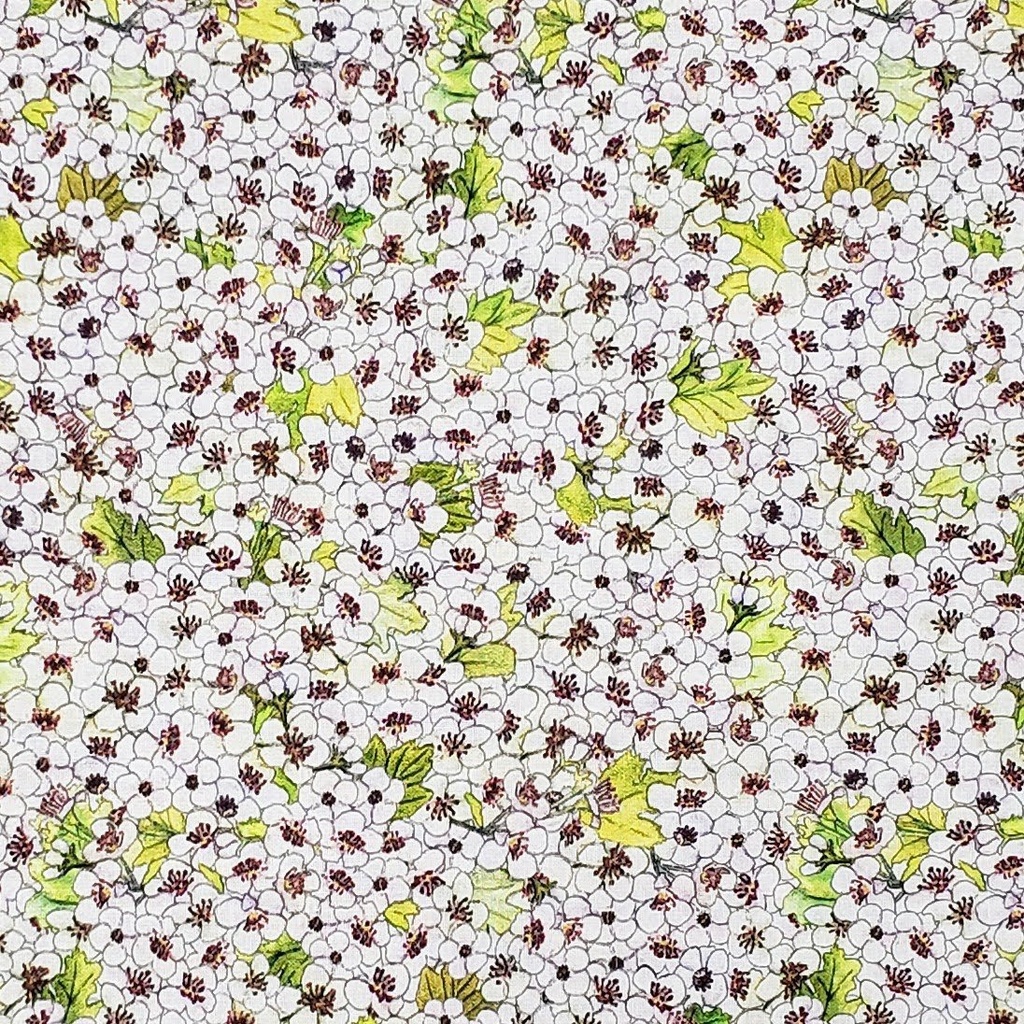 2023 MISSOURI SHOP HOP - MO ST FLOWER-WHITE HAWTHORN BLOSSOM (32409)