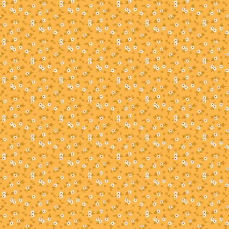 Cook Book Blossom Daisy