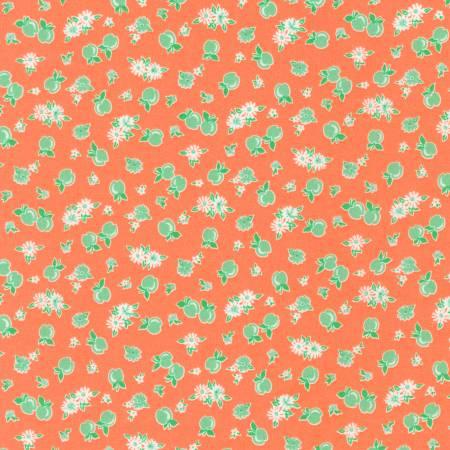 Darlene's Favorites 18757-146 (25047)