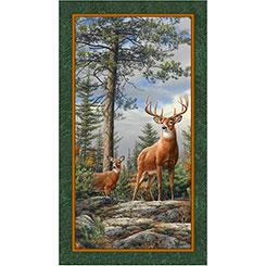 Deer Mountain - #5