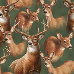 Deer Mountain 1649 24792 G (18852)