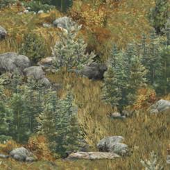 Deer Mountain 1649 24793 G (18848)