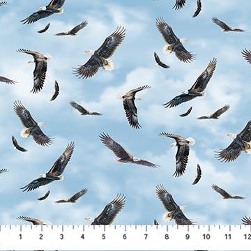 EAGLE TOSS (31807)