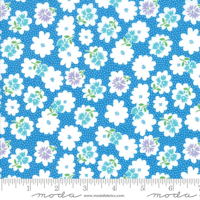 Fiddle Dee Dee Blue (25629)