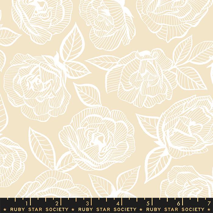 First Light Parchment (29655)