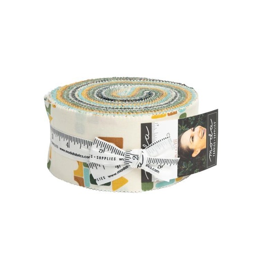 [31118] ABC XYZ Jelly RollÃ‚Â® 20810JR Moda Precuts#1