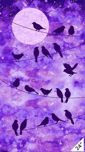 [23205] Imagine Amthst Birds # 75