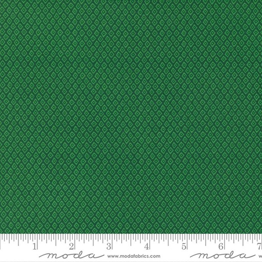 [29304] Jungle Paradise Palm 20788 22 (29304)