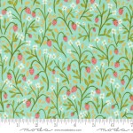 [33978] Kindred Aqua 36071 14 Moda #1 (33978)