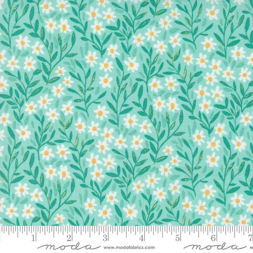 [33970] Kindred Aqua 36073 13 Moda #1 (33970)