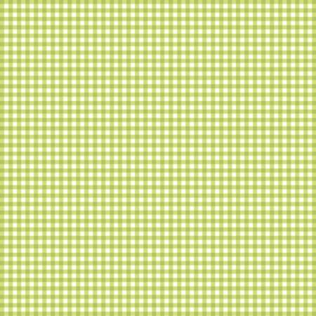 [27933] Kiwi Gingham Check (27933)