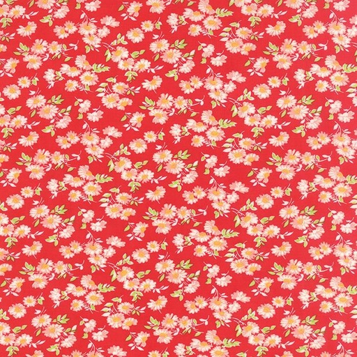 [19962] Little Ruby 55137 11 (19962)