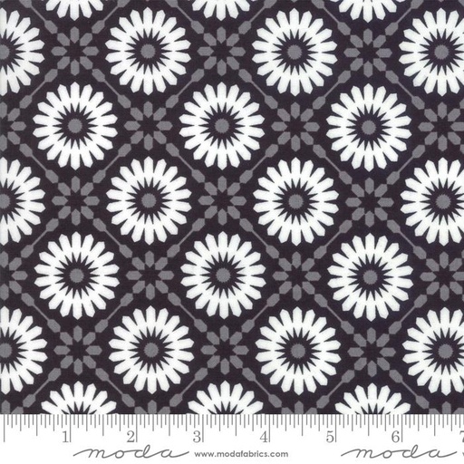 [26947] Midnight Magic Midnight (26947)