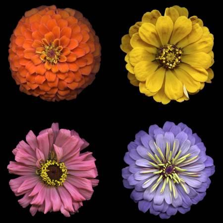 [27401] Multi Flower Power Digital Panel #139
