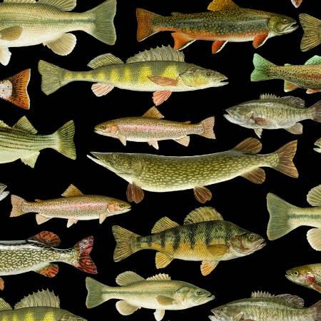 [22161] Nature C6405 fish (22161)