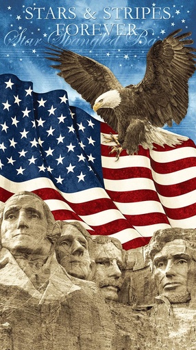 [21220] New Stars & Stripes panel #142