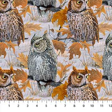 [22234] Nightfall DP22464 91 Snow (22234)