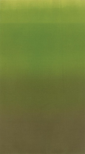 [17553] Ombre 10800 52 Avocado