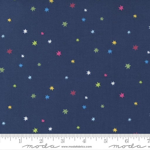 [30209] Rainbow Garden Blueberry (30209)