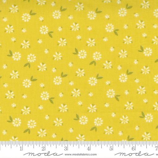 [30508] Seashore Drive Citrine