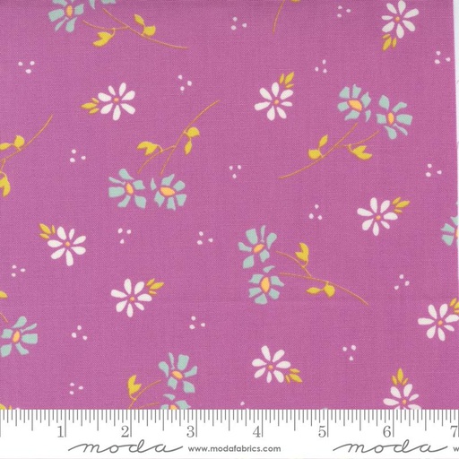 [30509] Seashore Drive Violet