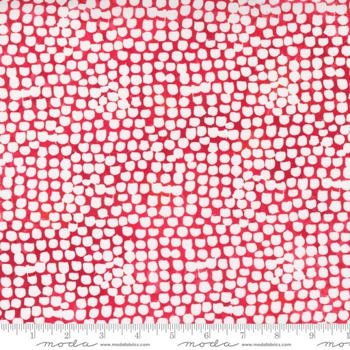 [28855] Starflower Christmas Red (28855)