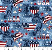 [29842] STARS&STRIPES 10TH ANNIVERSARY BLUE MULTI (29842)