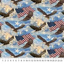 [29845] STARS&STRIPES 10TH ANNIVERSARY BLUE MULTI (29845)