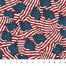 [29841] STARS&STRIPES 10TH ANNIVERSARY NAVY MULTI (29841)