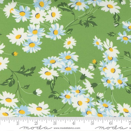 [29435] Story Time Real Daisy Green 21791 15 (29435)