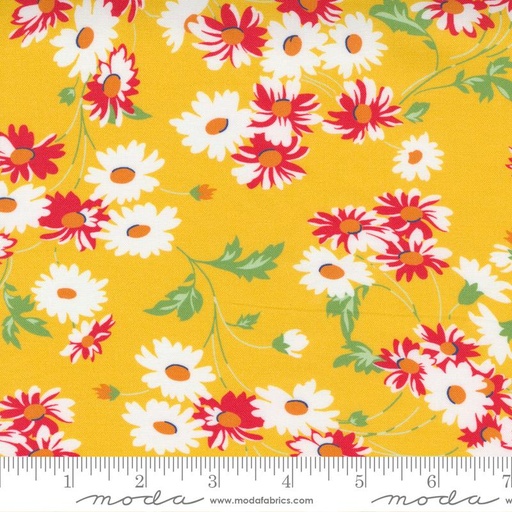 [29427] Story Time Real Daisy Yellow 21791 14 (29427)
