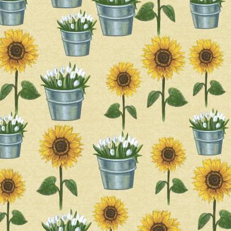 [21976] Sunflower Market 50620 1 sand