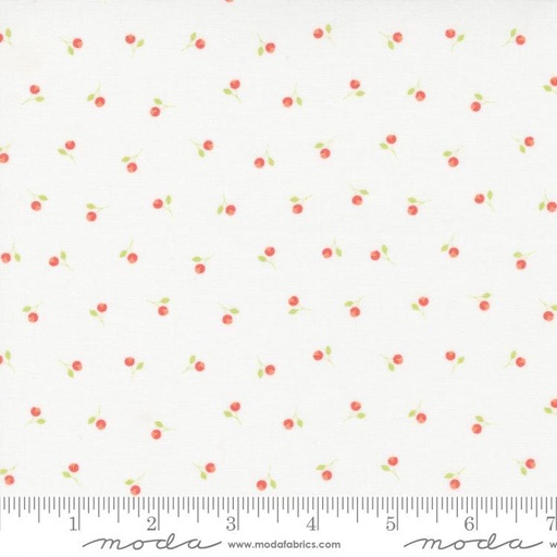 [31741] Sunwashed Cloud 29164 11 Moda #1 (31741)