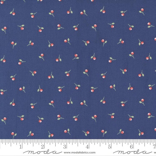 [31744] Sunwashed Midnight 29164 21 Moda #1 (31744)