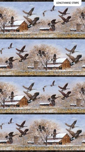 [27238] TAKE A GANDER BROWN MULTI (27238)