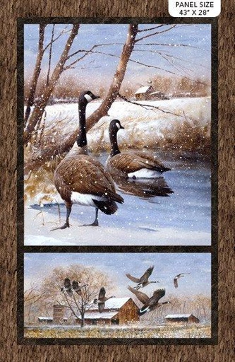 [27237] TAKE A GANDER BROWN MULTI  #13