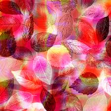 [33372] Tree Dance - Leaves Red (33372)