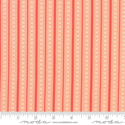 [23000] Walkabout (23000)