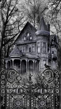 [32192] Black Wicked Haunted House Panel 25"x43" #72