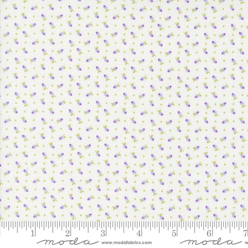 [34395] Georgia Off White 18772 11 Moda #1(34395)