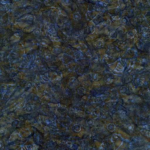 [35349] TONGA-B6644  STORM (35349)