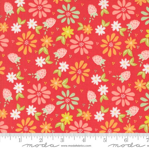 [36053] Raspberry Summer Raspberry 37690 13 (36053)