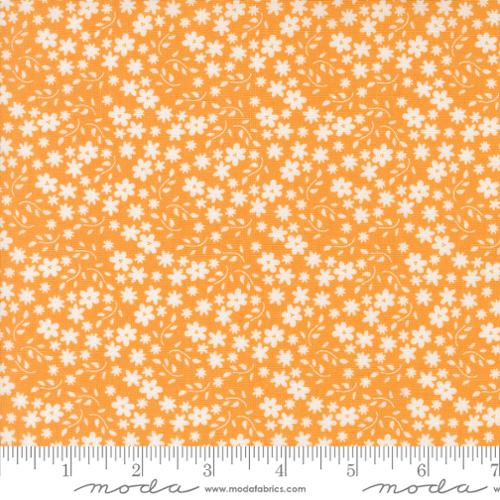 [36065] Raspberry Summer Apricot 37693 14 (36065)