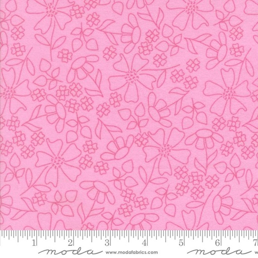 [36405] Sherbet Sunshine Flan Petunia 29223 26F  (36405)