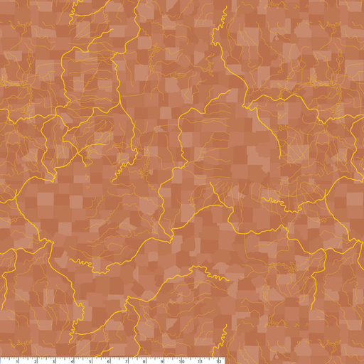 [36481] 2025 Missouri Shop Hop Flowing Rivers Burnt Orange (36481)