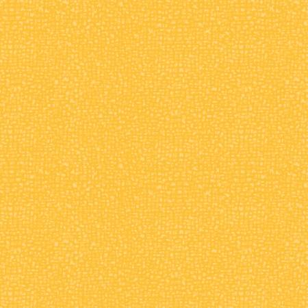 [36488] 2025 Missouri Shop Hop Bedrock Sol Blender (36488)