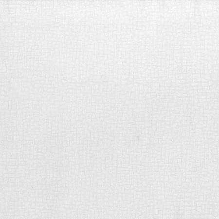 [36493] 2025 Missouri Shop Hop Bedrock White on White Blender (36493)