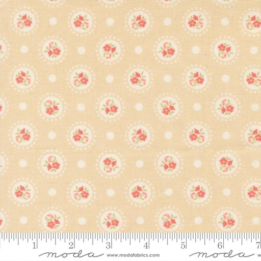 [36575] Sunbonnet Almond 31762 12 (36575)