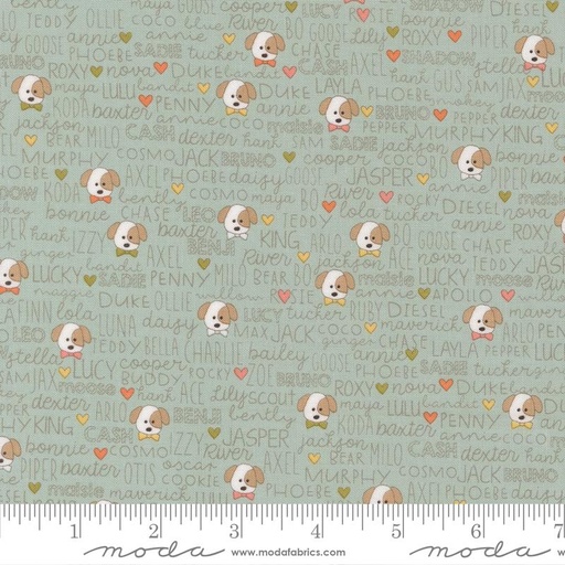 [36598] Lucky Buddies Sky 55702 12  by Sweetwater (36598)